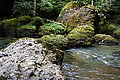 DSC06552 - Bernhard Saalfeld