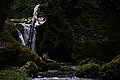DSC06556 - Bernhard Saalfeld