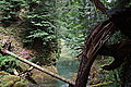 DSC06568 - Bernhard Saalfeld