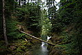 DSC06569 - Bernhard Saalfeld