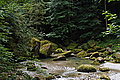 DSC06570 - Bernhard Saalfeld