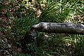 DSC06575 - Bernhard Saalfeld