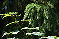 DSC06597 - Bernhard Saalfeld