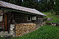 DSC06617 - Bernhard Saalfeld