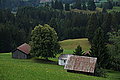DSC06620 - Bernhard Saalfeld