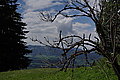DSC06624 - Bernhard Saalfeld