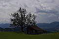 DSC06629 - Bernhard Saalfeld