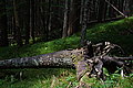 DSC06669 - Bernhard Saalfeld