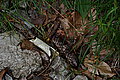 DSC06682 - Bernhard Saalfeld
