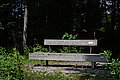 DSC06683 - Bernhard Saalfeld