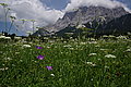 DSC06691 - Bernhard Saalfeld
