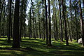 DSC06703 - Bernhard Saalfeld