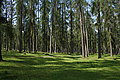 DSC06711 - Bernhard Saalfeld