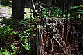 DSC06720 - Bernhard Saalfeld