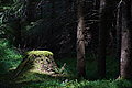 DSC06722 - Bernhard Saalfeld
