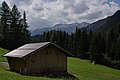 DSC06734 - Bernhard Saalfeld