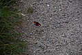DSC06741 - Bernhard Saalfeld