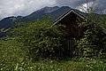 DSC06750 - Bernhard Saalfeld