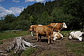 DSC06762 - Bernhard Saalfeld
