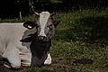 DSC06763 - Bernhard Saalfeld