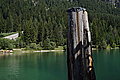 DSC06766 - Bernhard Saalfeld