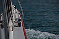 DSC06787 - Bernhard Saalfeld