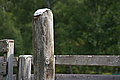 DSC06788 - Bernhard Saalfeld