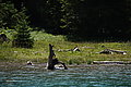 DSC06805 - Bernhard Saalfeld