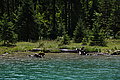 DSC06806 - Bernhard Saalfeld