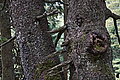 DSC06832 - Bernhard Saalfeld