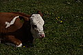 DSC06846 - Bernhard Saalfeld
