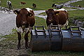 DSC06847 - Bernhard Saalfeld