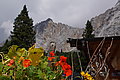 DSC06882 - Bernhard Saalfeld