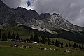 DSC06886 - Bernhard Saalfeld