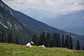 DSC06888 - Bernhard Saalfeld