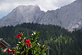 DSC06908 - Bernhard Saalfeld