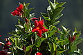 DSC06909 - Bernhard Saalfeld