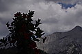 DSC06911 - Bernhard Saalfeld