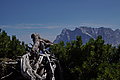 DSC07175 - Bernhard Saalfeld