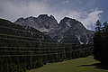 DSC07208 - Bernhard Saalfeld