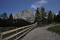 DSC07210 - Bernhard Saalfeld