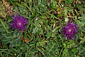 DSC07224 - Bernhard Saalfeld