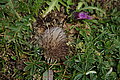 DSC07227 - Bernhard Saalfeld