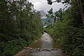 DSC07237 - Bernhard Saalfeld