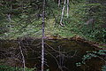 DSC07251 - Bernhard Saalfeld