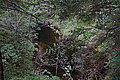DSC07252 - Bernhard Saalfeld