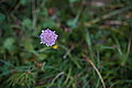 DSC07253 - Bernhard Saalfeld