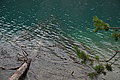 DSC07255 - Bernhard Saalfeld