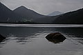 DSC07269 - Bernhard Saalfeld