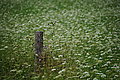 DSC07282 - Bernhard Saalfeld